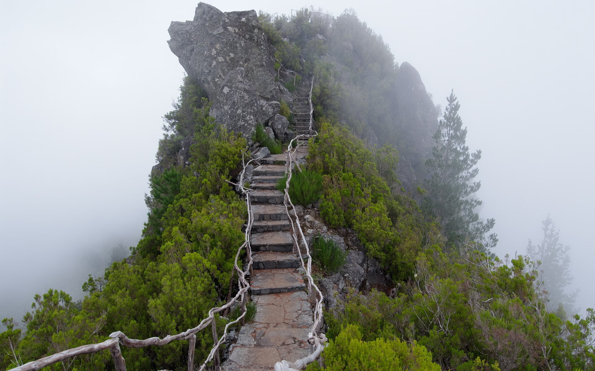 九游APP-阿尔阿赫利主场迎战扎马莱克，德比战备受关注，阿尔阿赫利利马