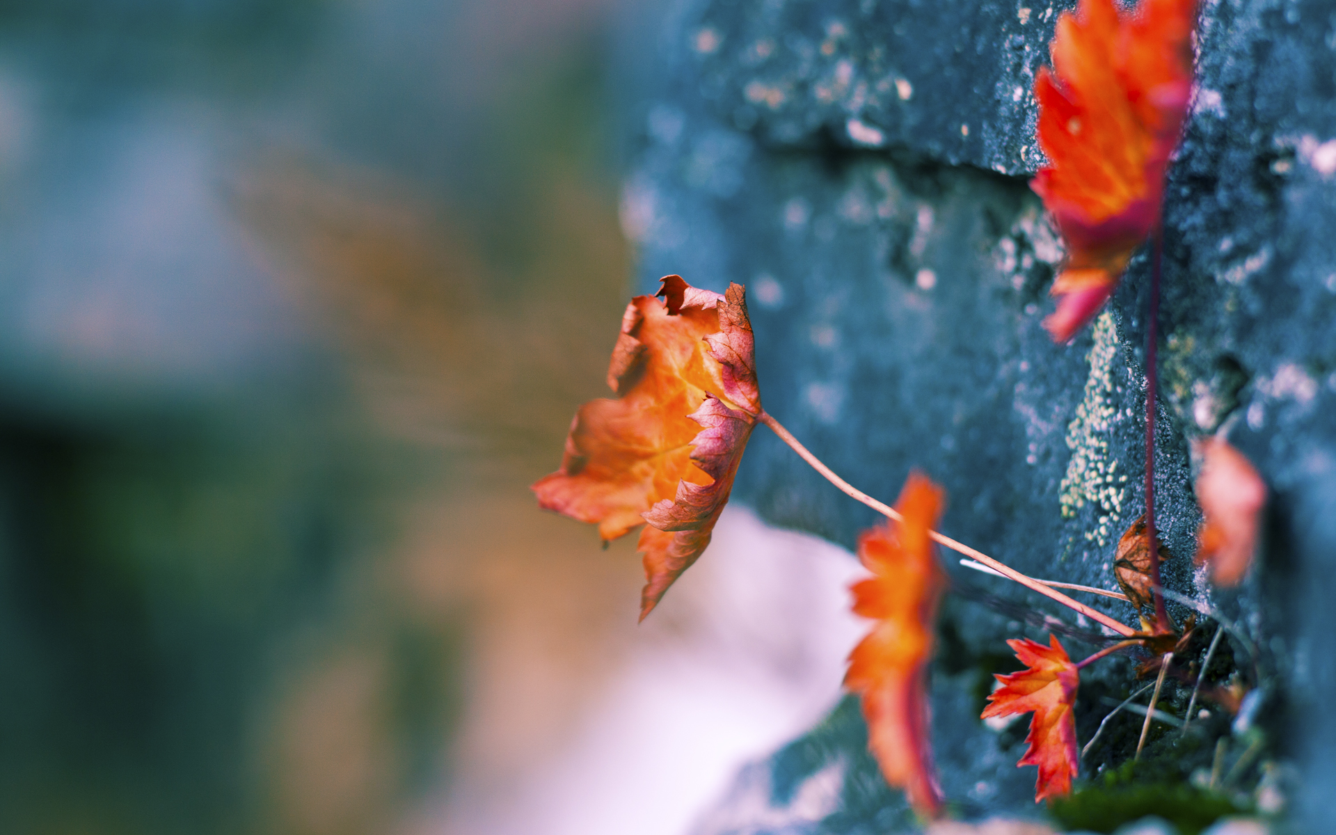 替补席得分效率是否正在超越首发攻击线水平，替补有机会上场么