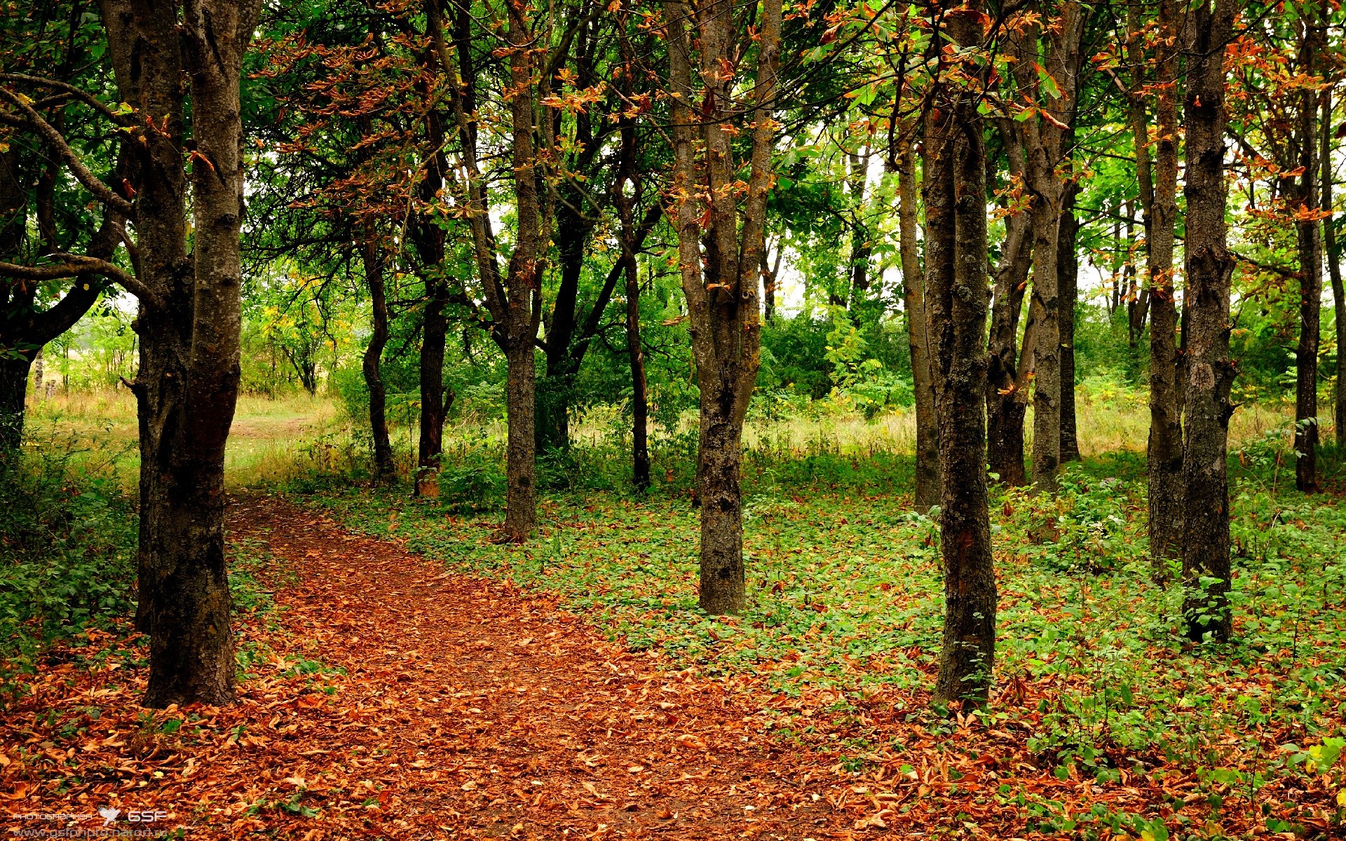 赛事冠名商业合作灵活多变