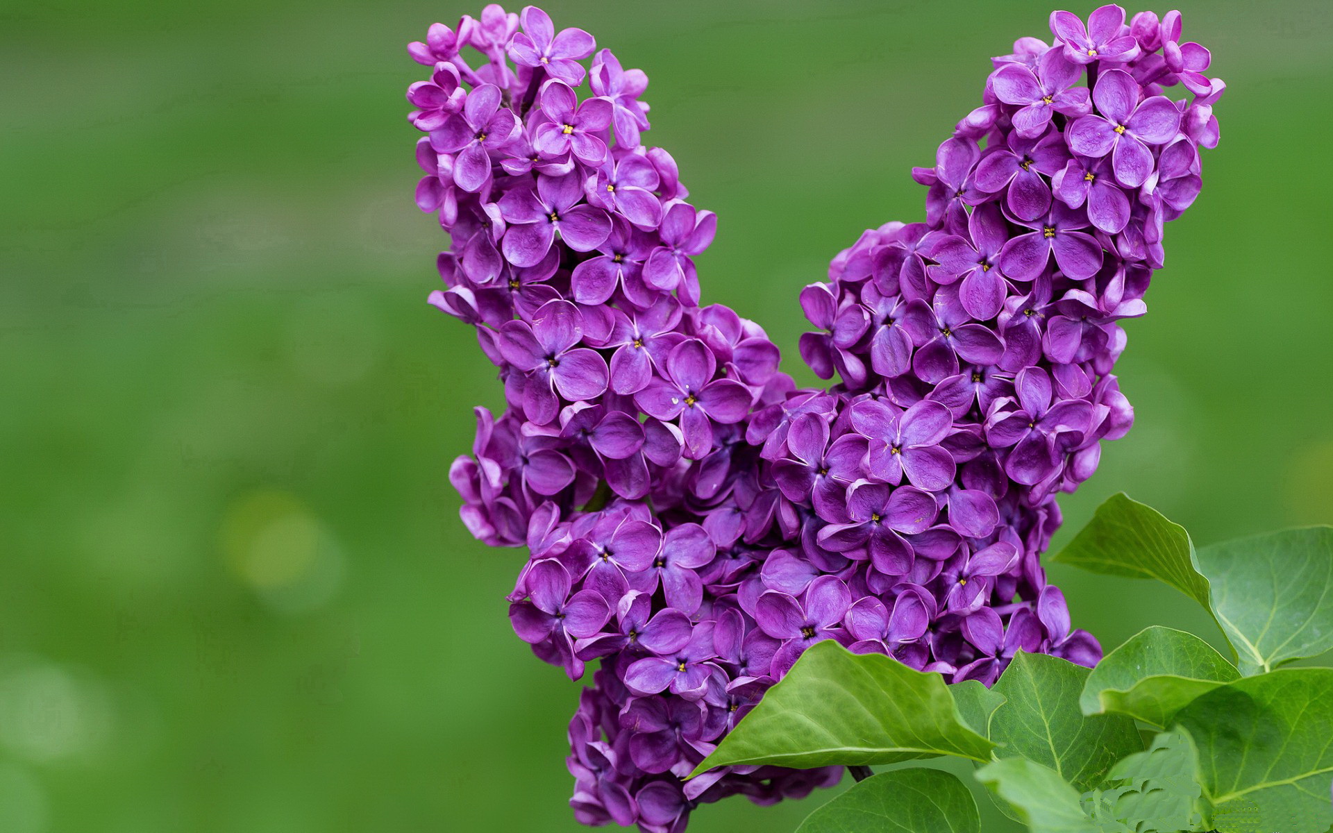 九游体育app-巴特尔的强力拦截为袋鼠队赢得关键比赛中的优势，巴特尔的替补