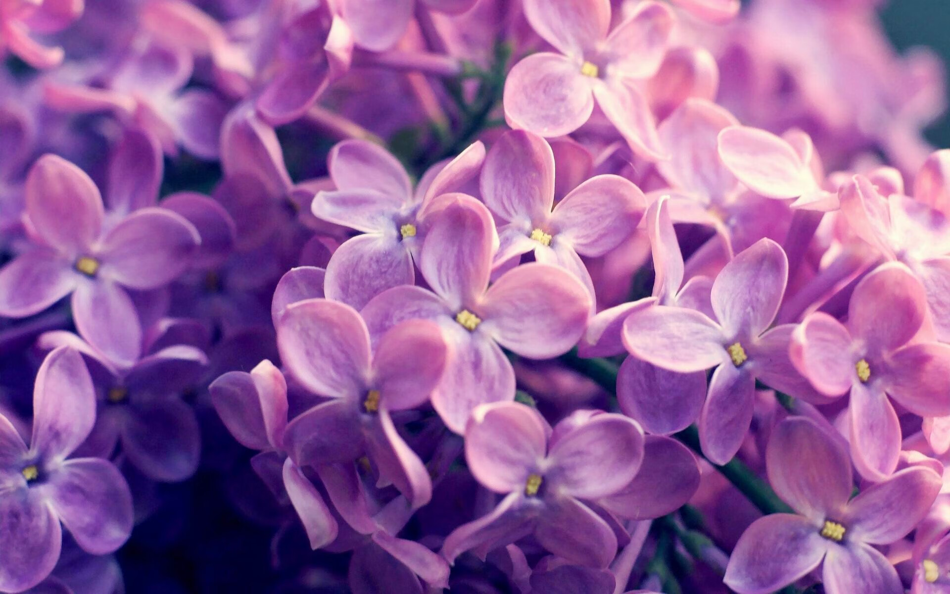 九游网址-田径世锦赛 中国运动员创佳绩，田径世锦赛记录