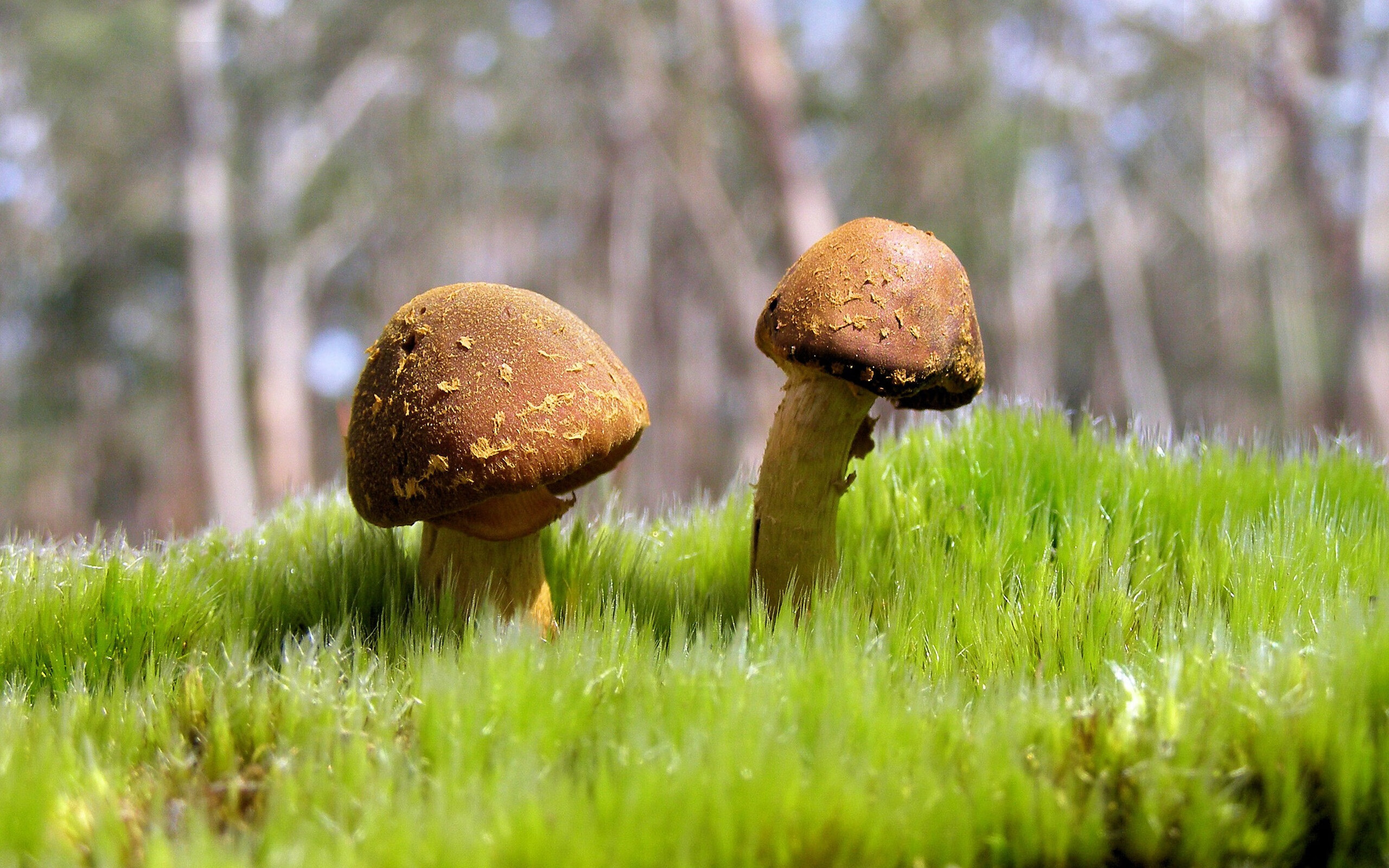 九游娱乐官网入口-跳水选手姿态优美赢得掌声，跳水运动员精彩瞬间